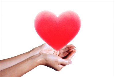 特に許可申請が多い就労が可能な在留資格の種類～就労が可能な在留資格の許可申請をしたい方をサポート～