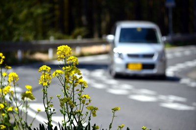 日本和海外的生活•文化到底哪些地方不一样？